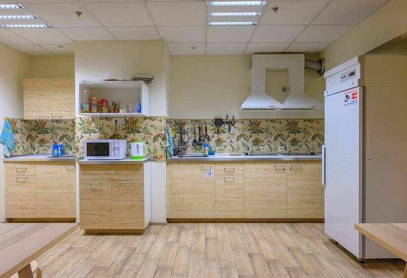 Hostel Terminal Adler