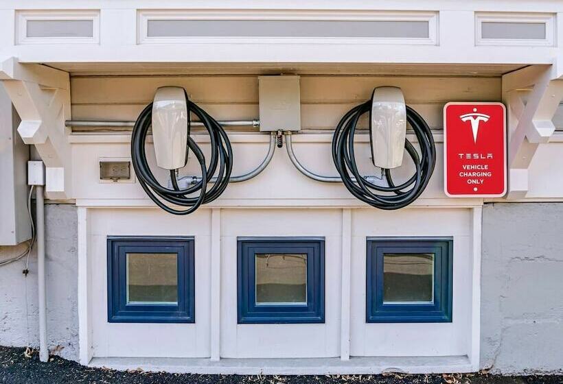 Redtail Suites~ Red  Mccall Suite~tesla Station