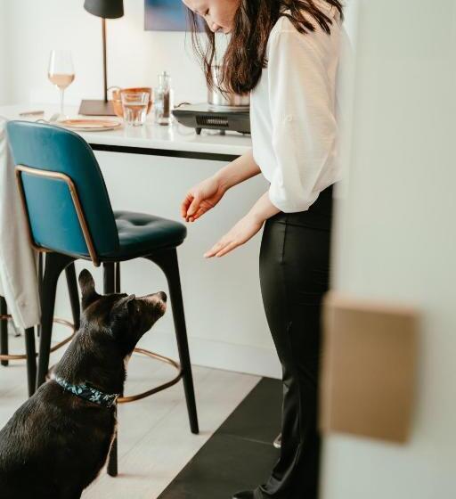 Residence Inn Ghent By Marriott