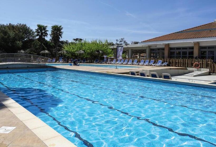 住所  Belambra Clubs Presqu île De Giens   Riviera Beach Club