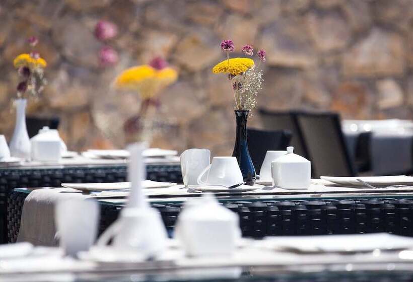 Bed and Breakfast Villa Maris Punat