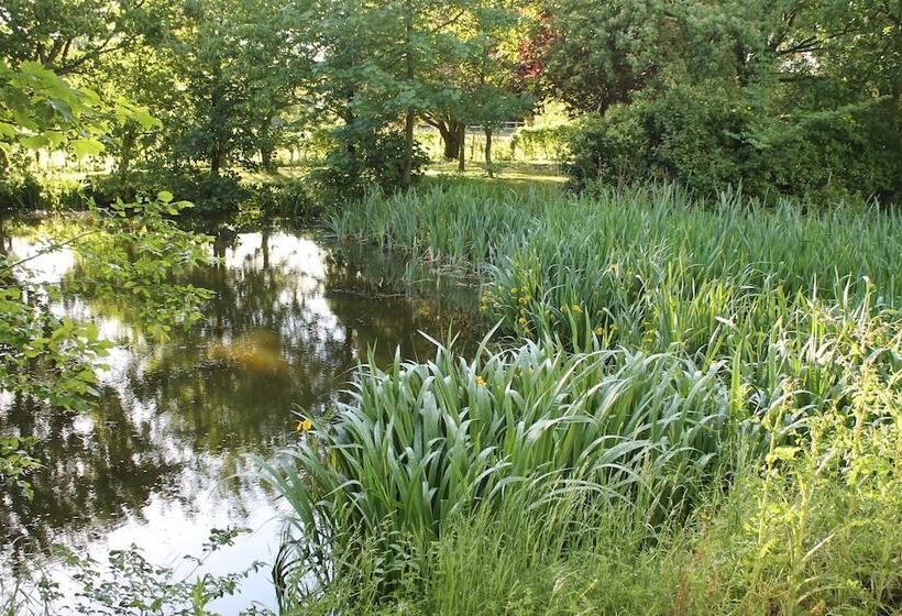 Colston Hall Cottages