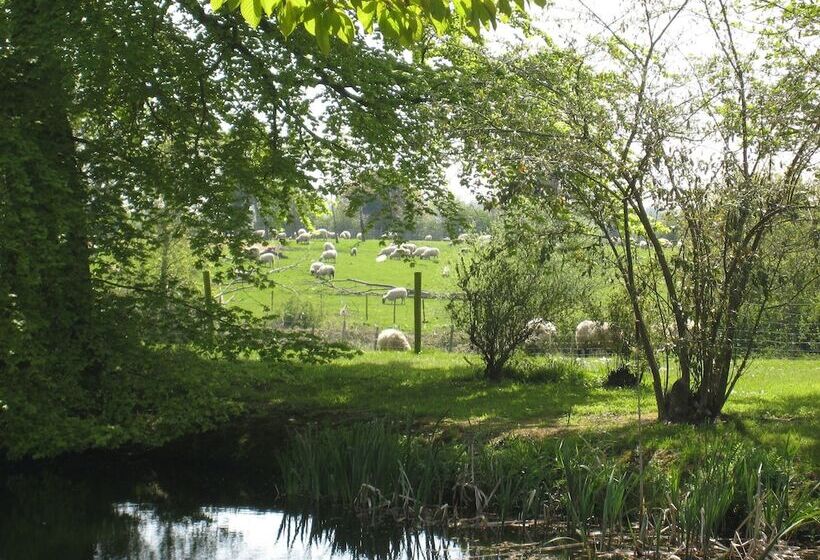 Colston Hall Cottages