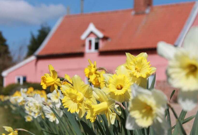 Colston Hall Cottages
