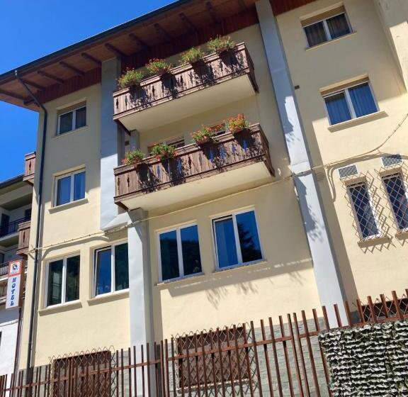 Отель Adriatico Rooms