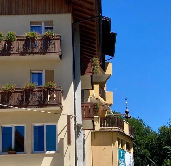 Отель Adriatico Rooms