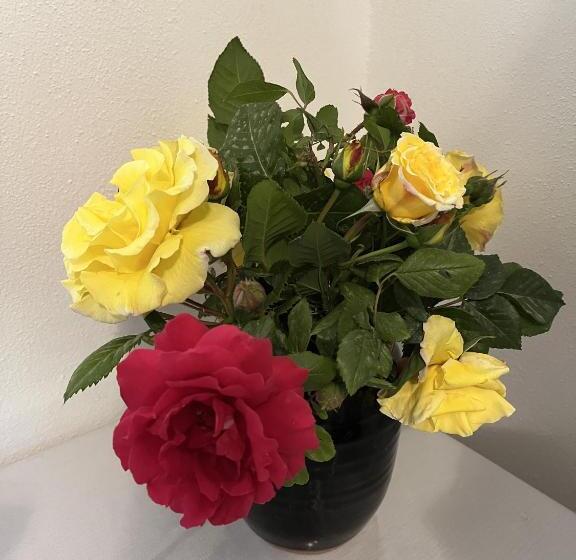 ホテル Agriturismo Il Gonzeto, Montepulciano