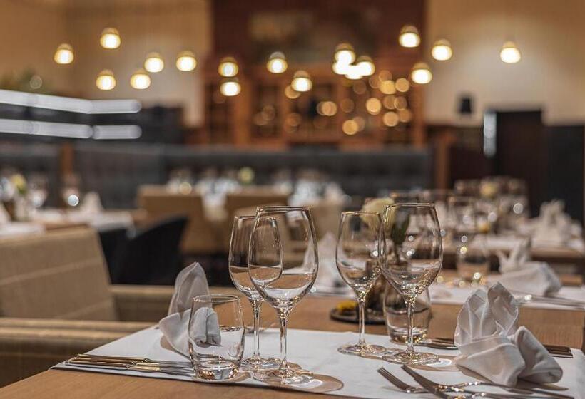 호텔 Alpine Inn Davos