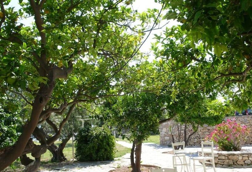 فندق Anezina Village