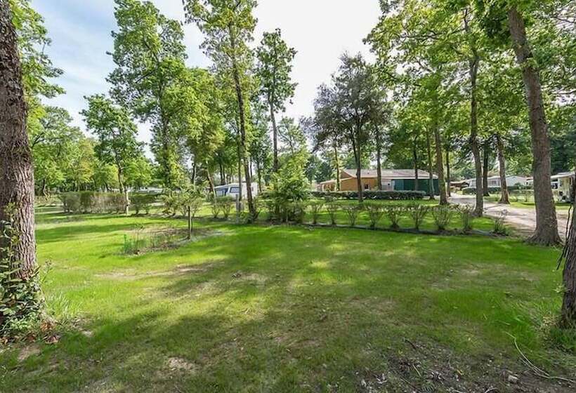 酒店 Camping La Cailletiere   Mobil Home