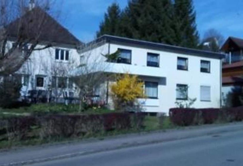 Отель Hôtel Restaurant Baumgartner