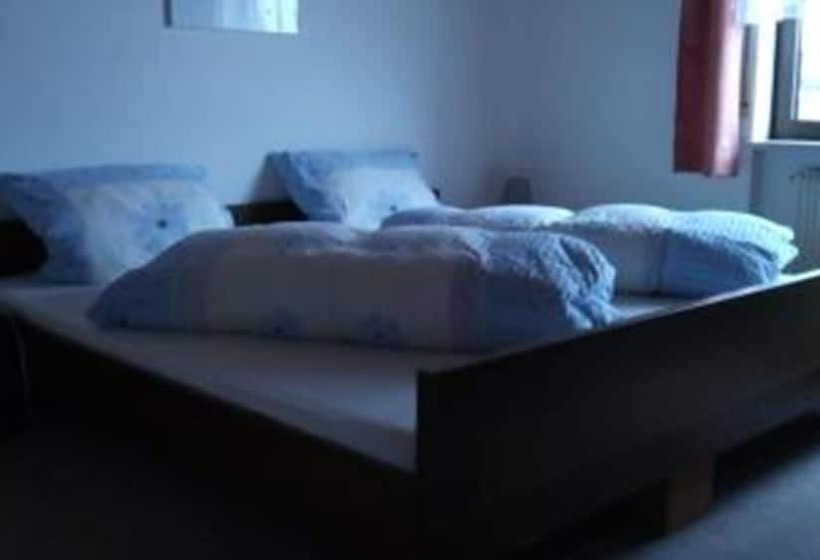 Отель Hôtel Restaurant Baumgartner