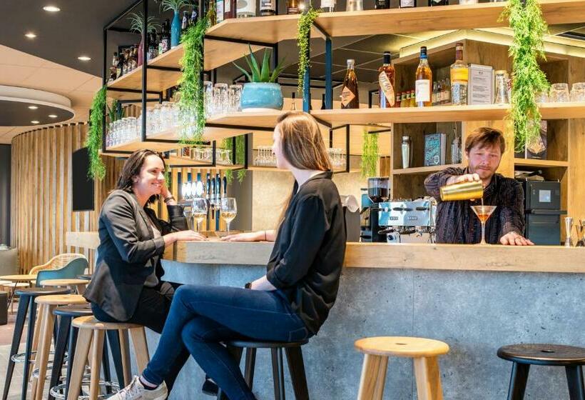 Отель Ibis Gonesse