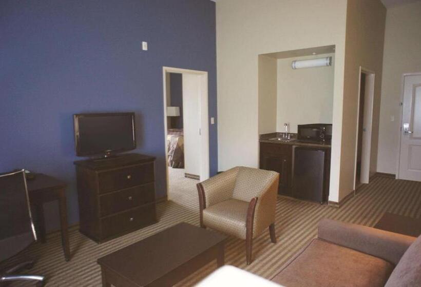 בית מלון כפרי La Quinta Inn & Suites By Wyndham Broussard   Lafayette Area