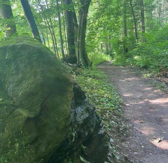 ペンション Das Muldenschlösschen   Gästehaus & Restaurant