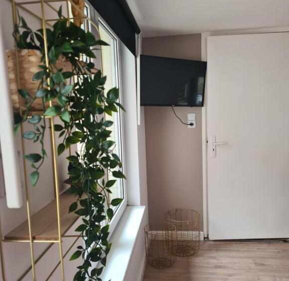 פנסיון Evy S Garden House