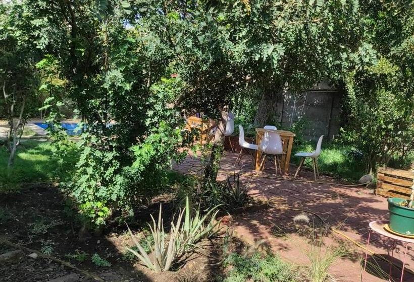 بنسيون Mondrian Santiago