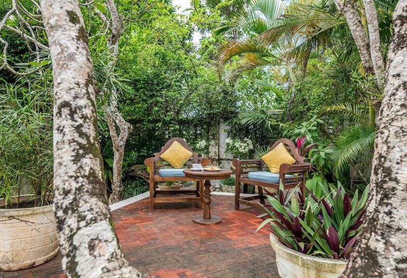 膳宿费 The Sun House