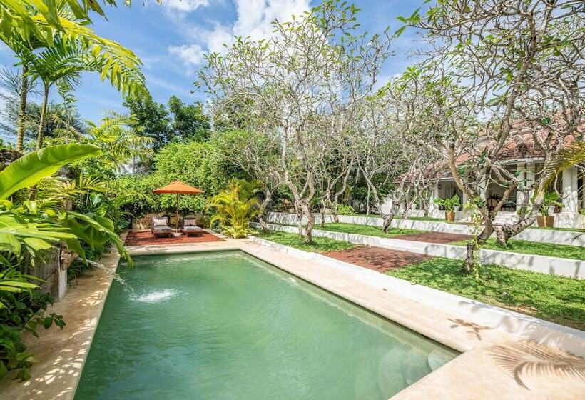 膳宿费 The Sun House