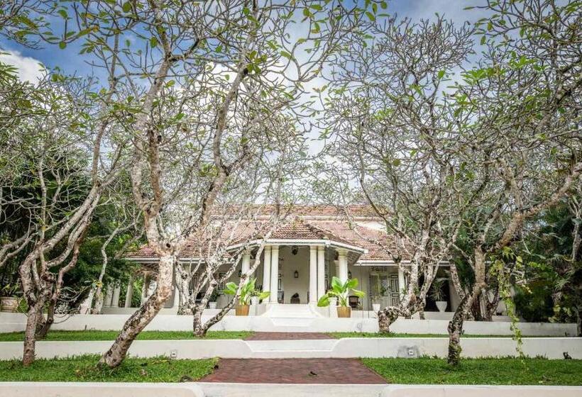 膳宿费 The Sun House