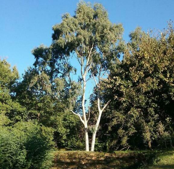 بنسيون Villa Fontane Cottage