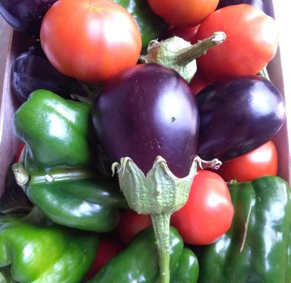 דירת נופש Villa A Mare