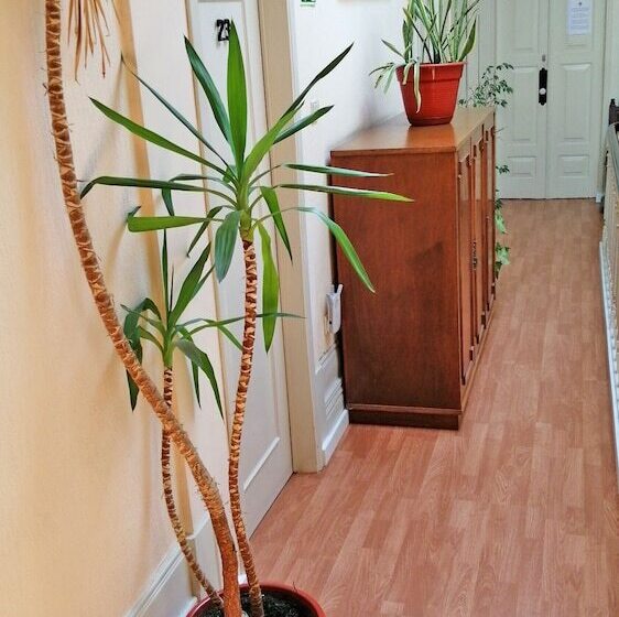 تختخواب و صبحانه Residencia Vale Formoso