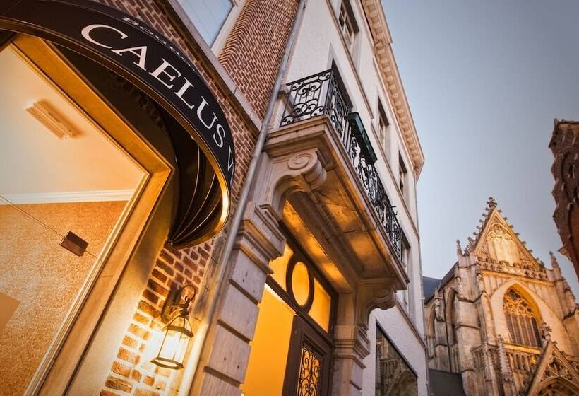 Boutique Hotel Caelus Vii