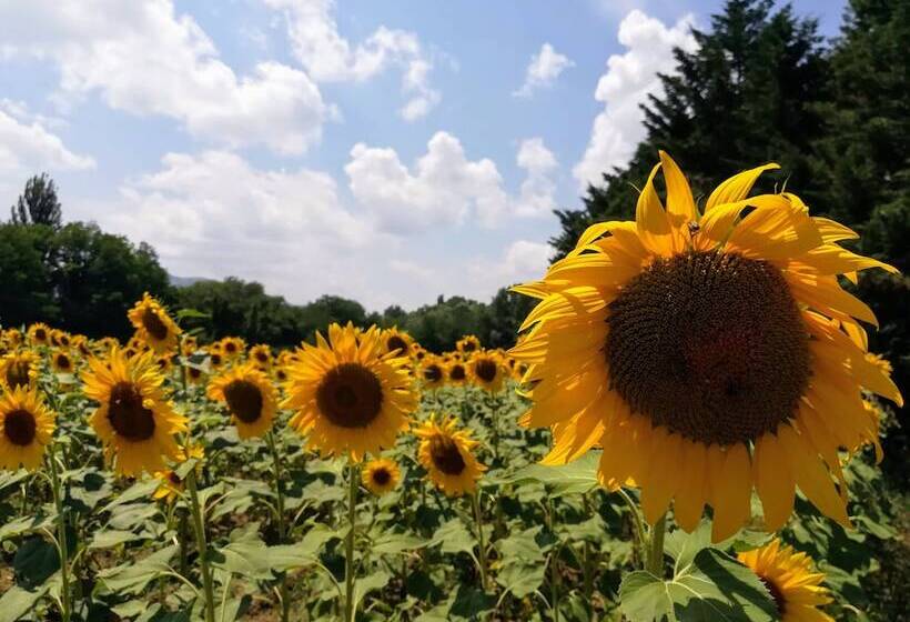 Country Hotel Poggiomanente