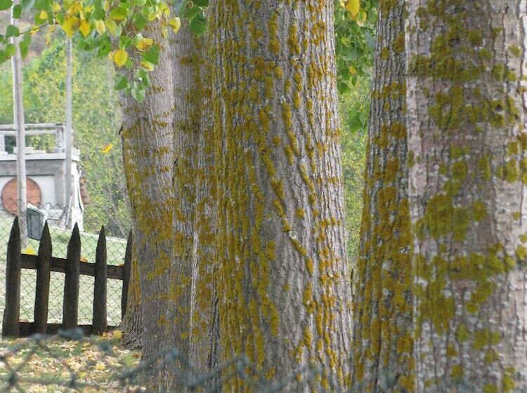 هتل A. Montesinho Turismo