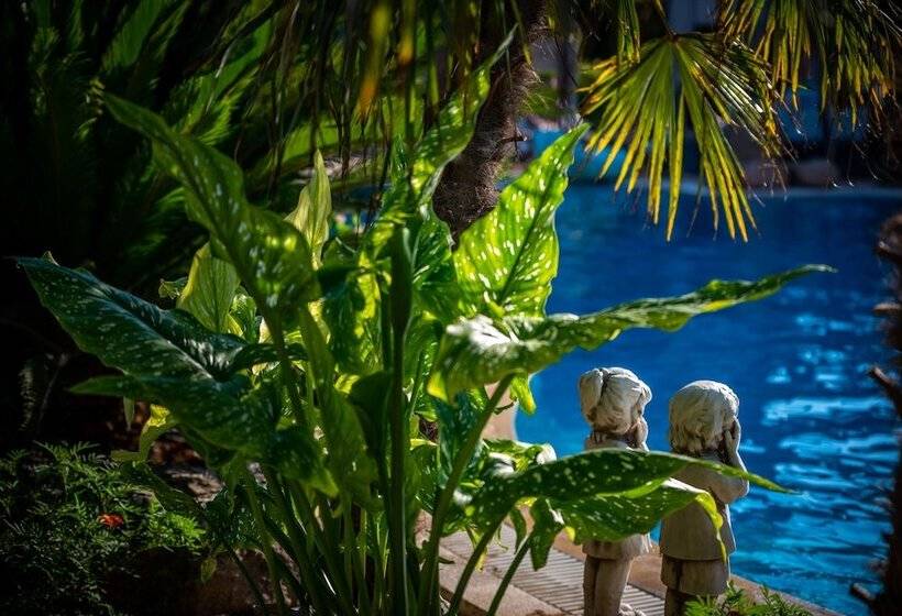 בית מלון כפרי Achtis