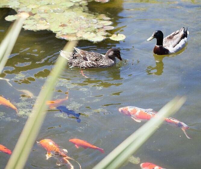 בית מלון כפרי Achtis