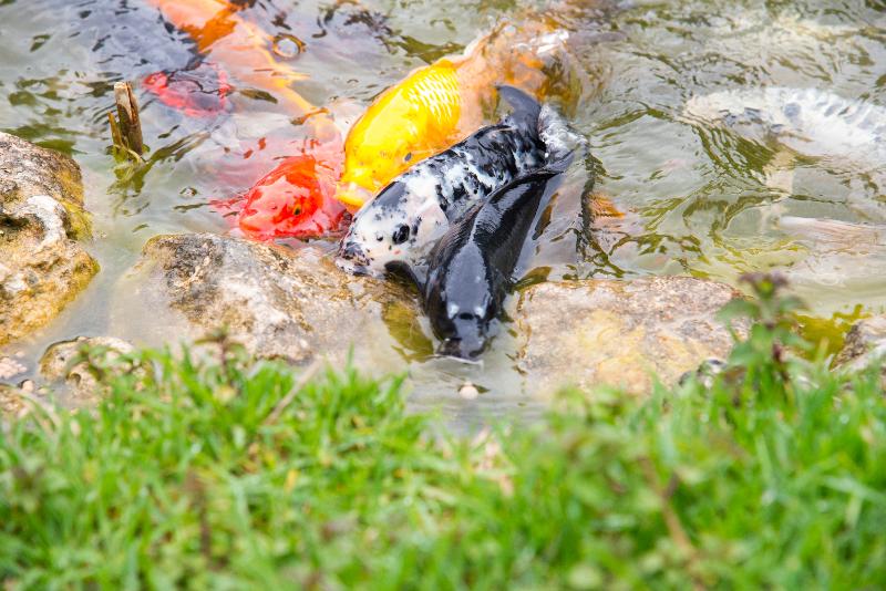 בית מלון כפרי Achtis