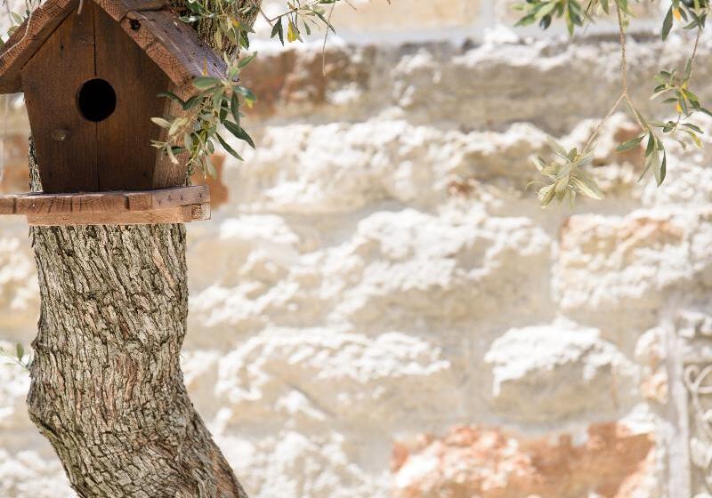 בית מלון כפרי Achtis