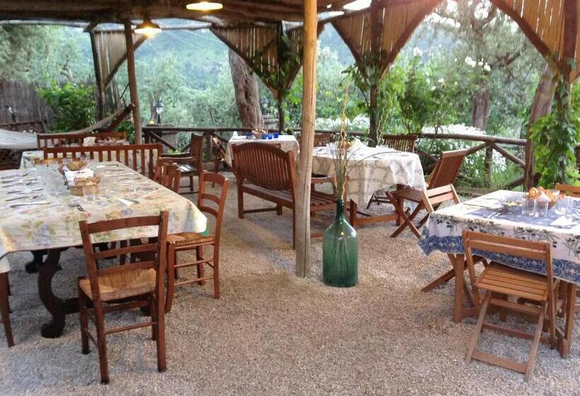 ホテル Agriturismo L'olivara