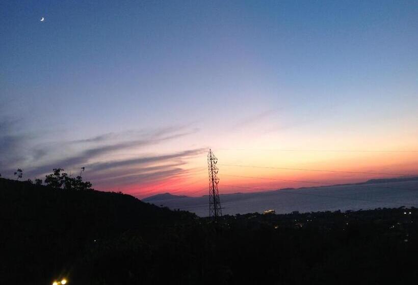 ホテル Agriturismo L'olivara