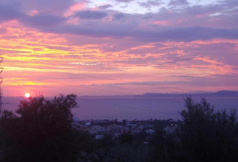 ホテル Agriturismo L'olivara