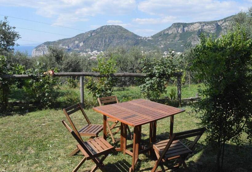 ホテル Agriturismo L'olivara