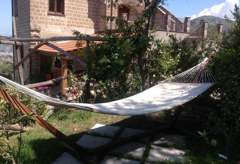 ホテル Agriturismo L'olivara