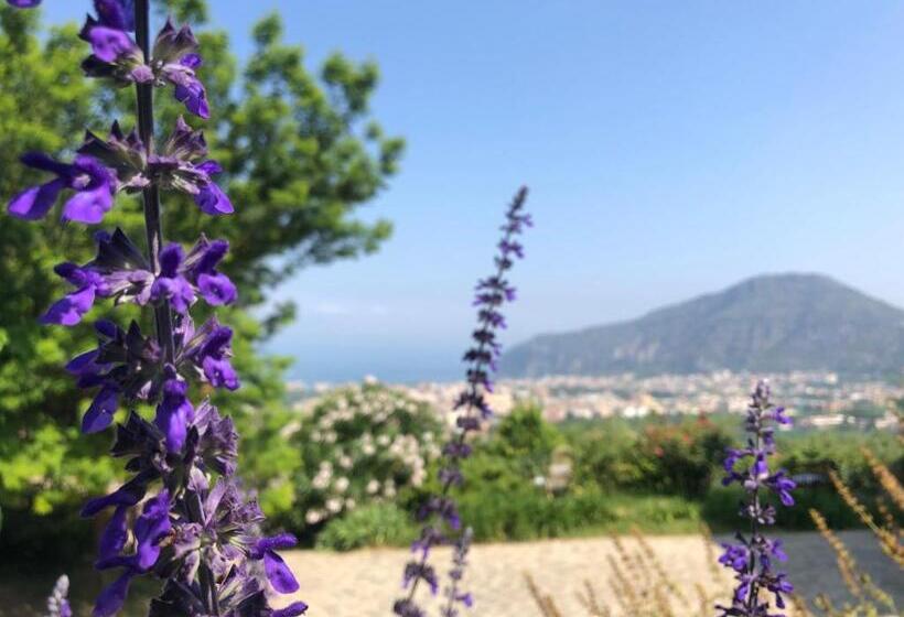 ホテル Agriturismo L'olivara