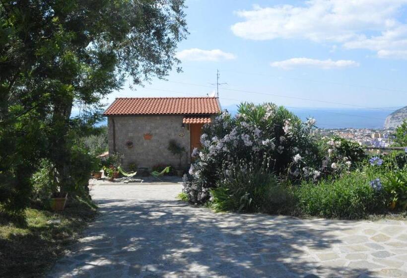 ホテル Agriturismo L'olivara