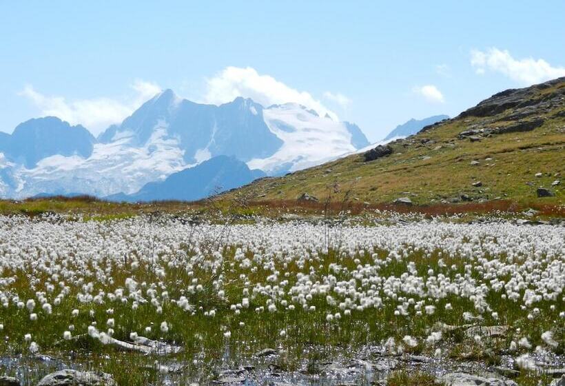 בית מלון כפרי Albergo Sciatori
