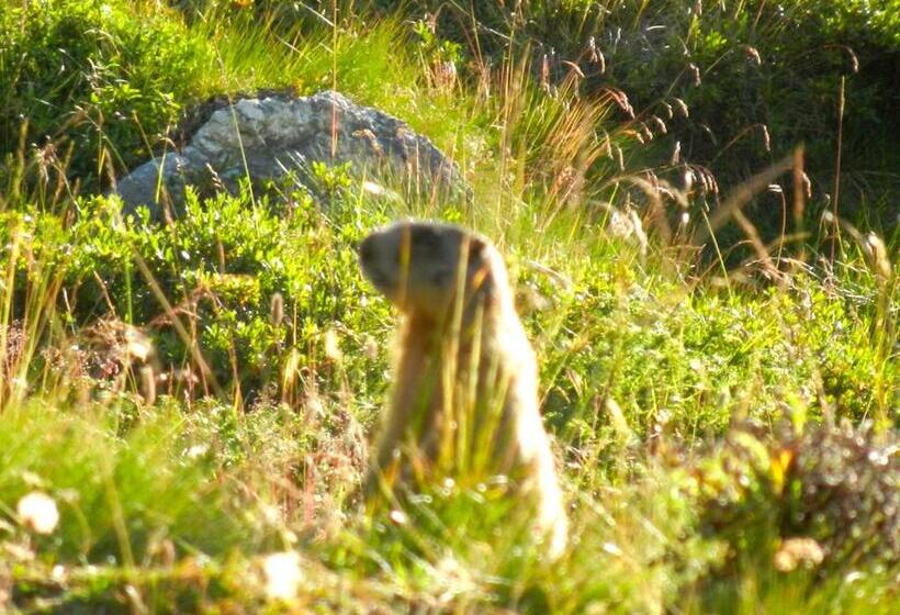 בית מלון כפרי Albergo Sciatori