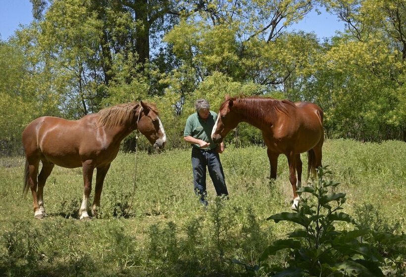בית מלון כפרי Andes Lands