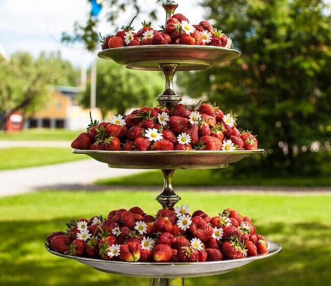 Bjurfors Hotell & Konferens