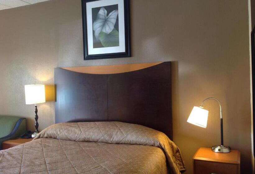 酒店 Diamond Inn & Suites