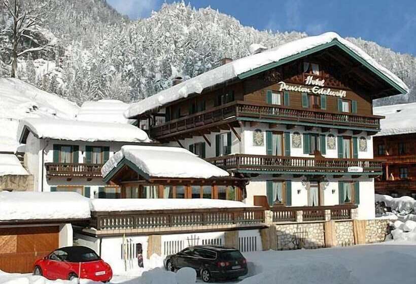 酒店 Edelweiß