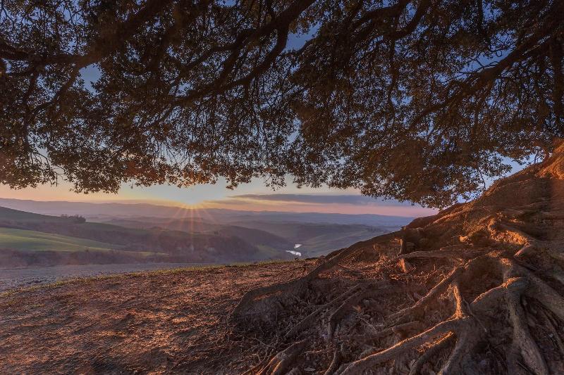 ホテル Fattoria Pieve A Salti