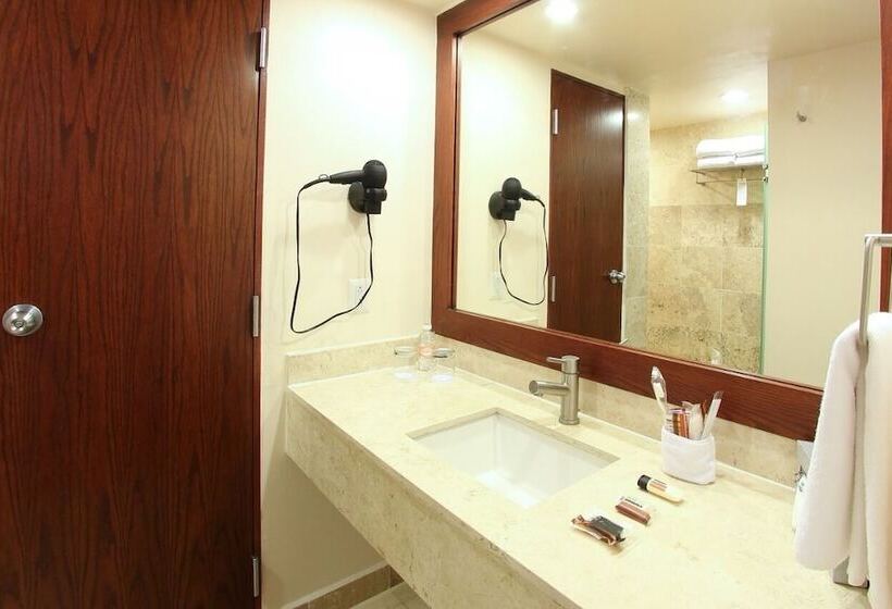 בית מלון כפרי Opus Grand Toluca Aeropuerto