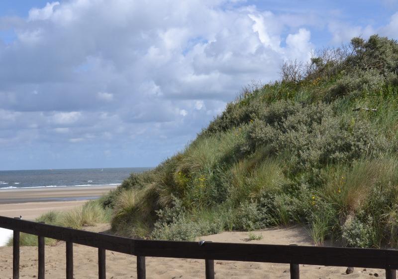 Fletcher Hotel Restaurant Duinzicht